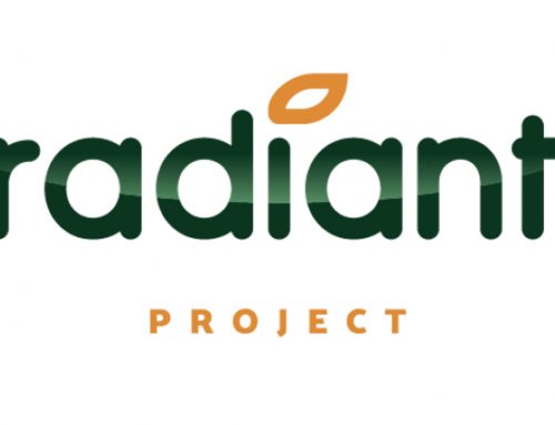 Creator Workshop Radiant in Italien 