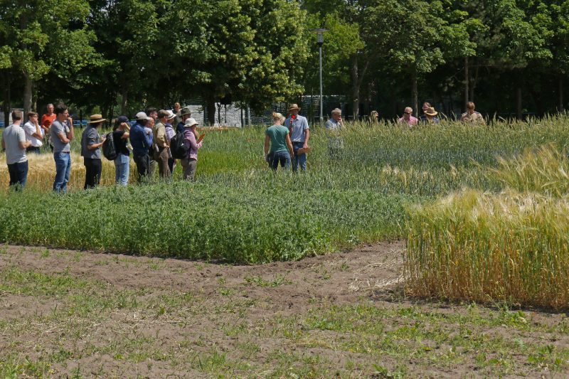 Infotag Parzellen 2022