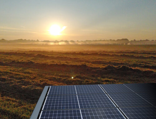 Veranstaltung am 22. Februar: Workshop zu Agri-PV