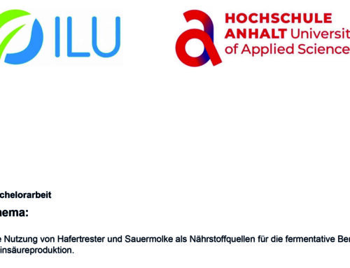 ILU gratuliert zum Bachelorabschluss