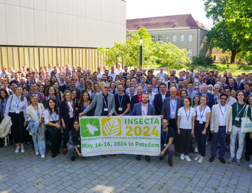 INSECTA conference 2024 – Bread made from insects