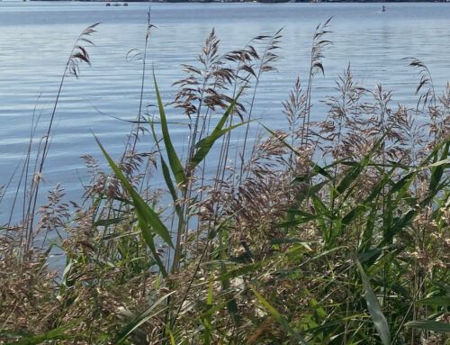 Wasser erhält Bodenfruchtbarkeit