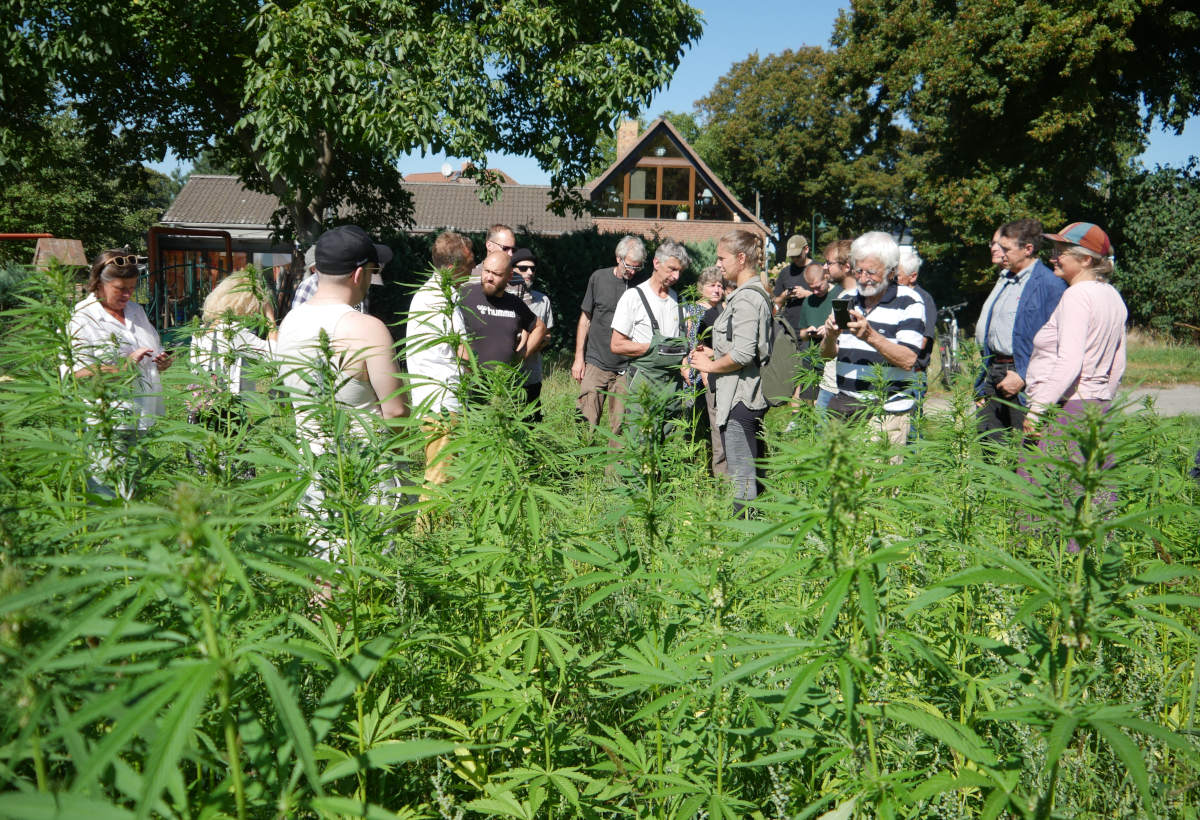 Rollender Feldtag in Wittstock