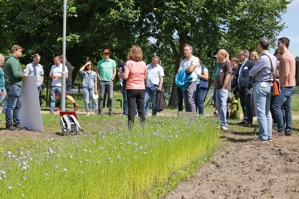 LiD-Parzellentag mit Menschen auf einem Feld