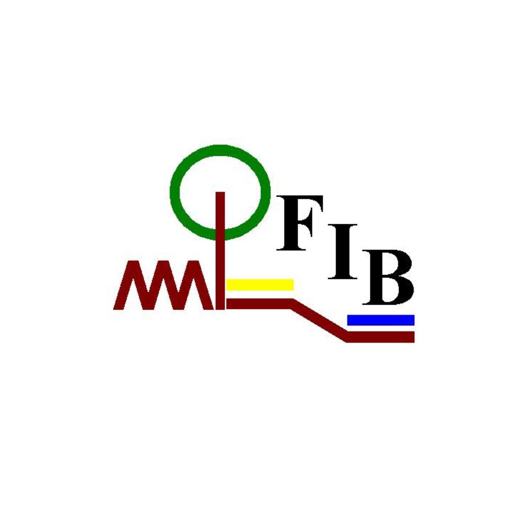 FIB_Logo