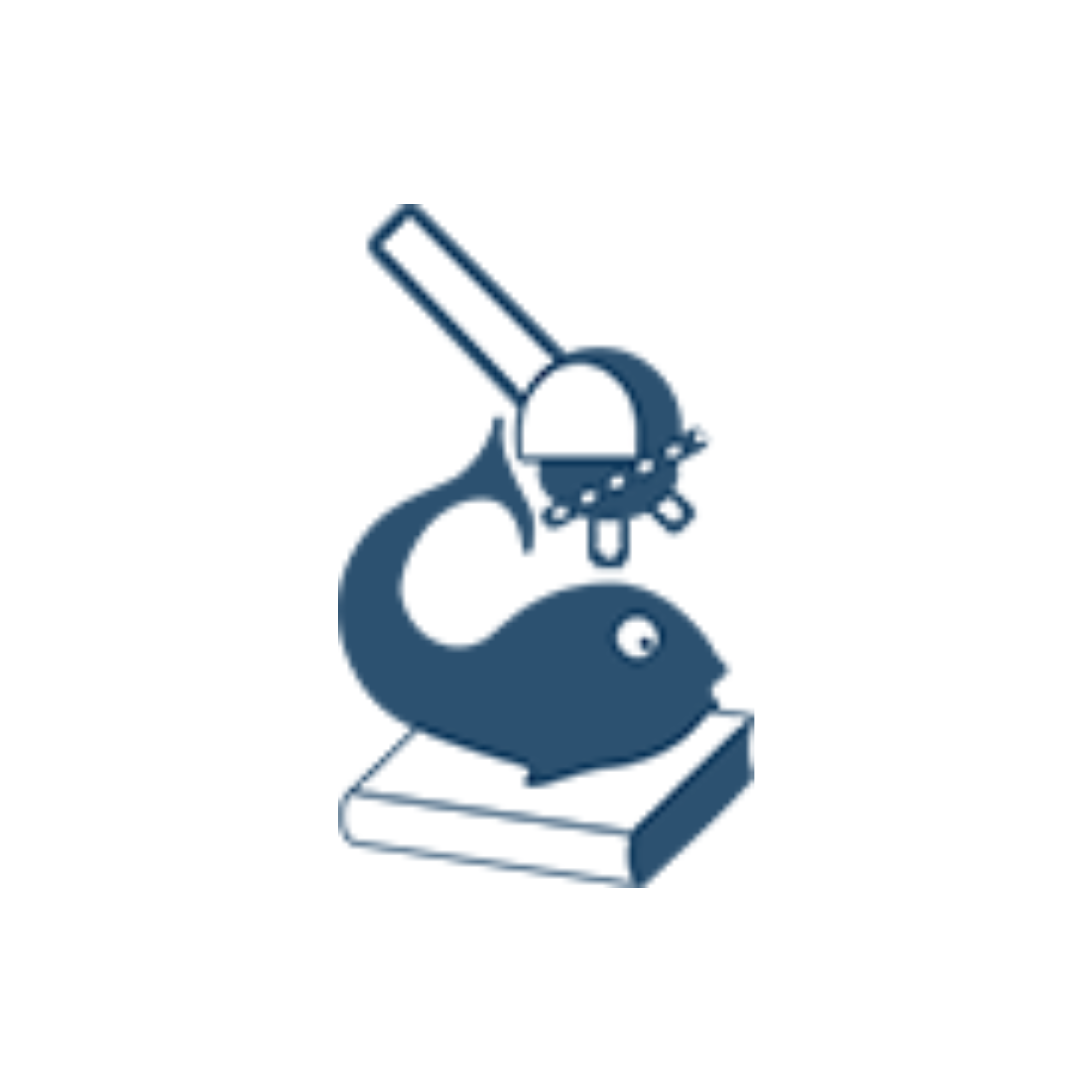 IFB_Logo