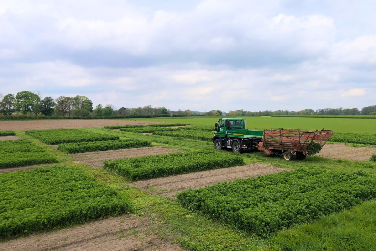 Parzellenfeldversuch Projekt SapoPlant © Markus Schindler, IASP