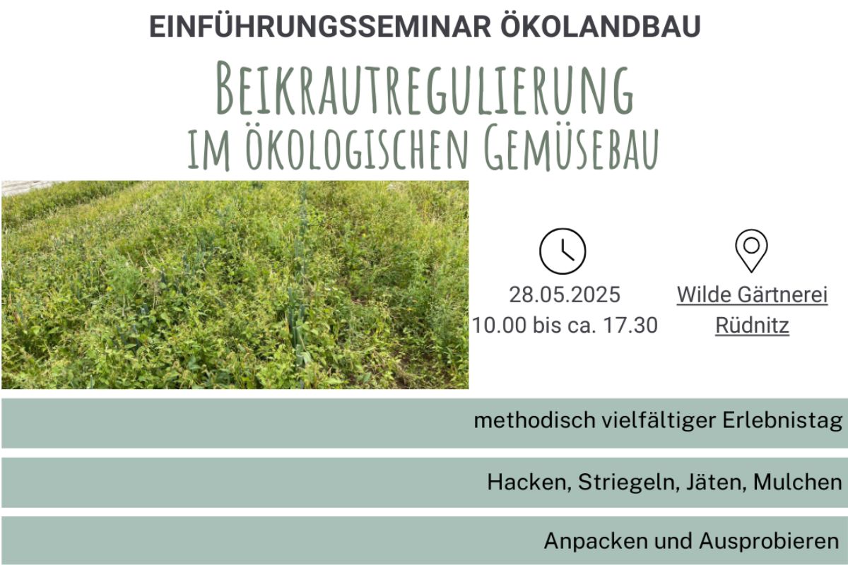 BÖL-Seminar Beikrautregulierung im ökologischen Gartenbau 2025