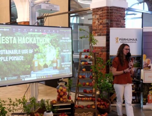 ILU beim Piesta Hackathon 2025 in Estland