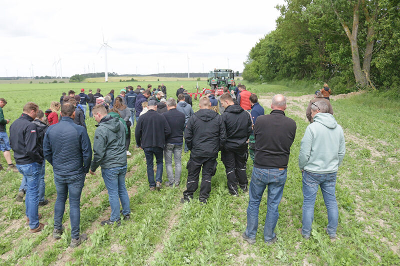 rund 40 Landwirte blicken einem Trekker hinterher oder schauen auf das Erbsenfeld und sprechen miteinander. Foto: Julian Delbrügge (ILU)