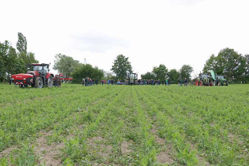 Vier Traktoren auf einem Erbsenfeld. Daneben 100 Vertreter aus der Landwirtschaft. Foto: Julian Delbrügge (ILU)