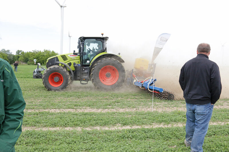 Ein Traktor der Marke Claas hackt ein verunkrautetes Maisfeld. Foto: Julian Delbrügge (ILU)