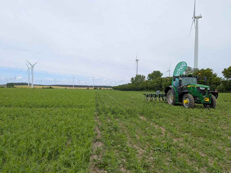 Ein Erbsenfeld, weit wie das Meer, wurde gestriegelt. Foto: Julian Delbrügge (ILU)