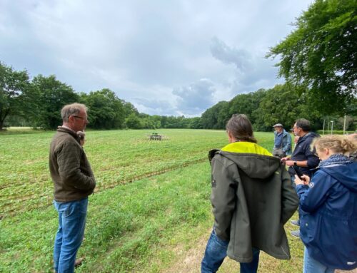FIB-Feldtag Kräuteranbau in der Prignitz 2025: Wissenstransfer auf dem Acker