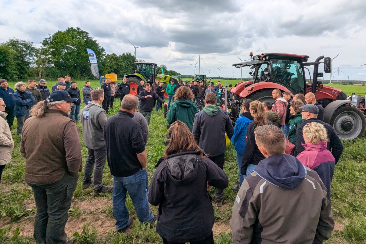 LiD Hack- und Striegeltag 2025 in Kemlitz