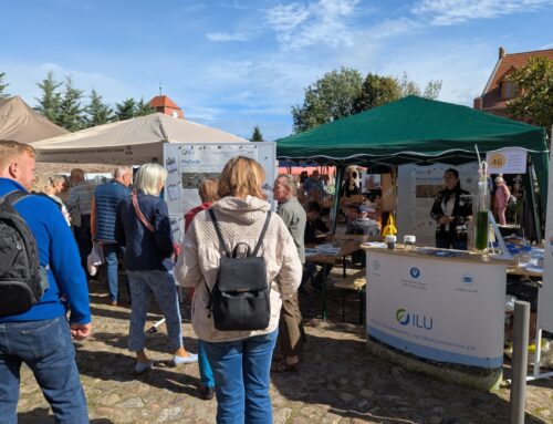 ILU beim Flämingmarkt 2025 in Görzke
