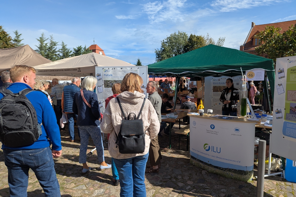 ILU beim Flämingmarkt 2025 in Görzke mit Infostand über die Projekte.