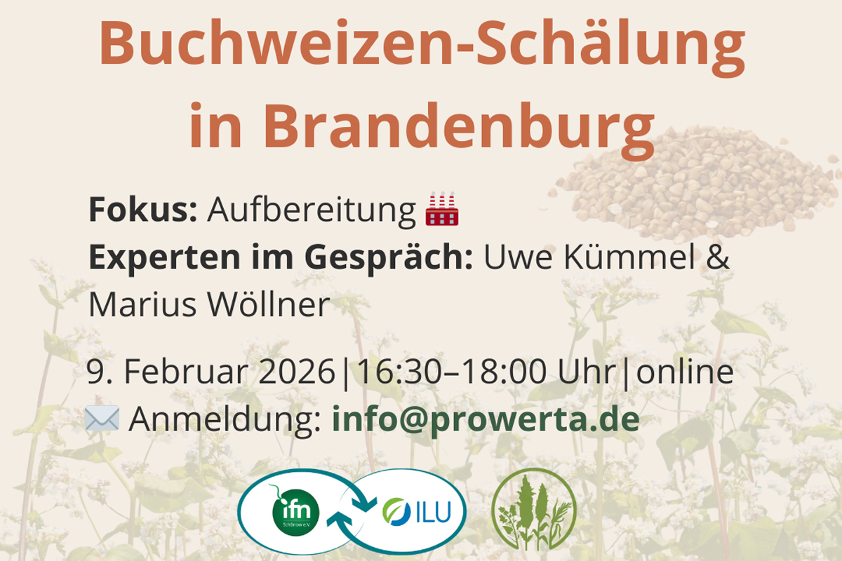 Einladung Online-Reihe PROWERTA (Instagram-Post (4:5)) - 2